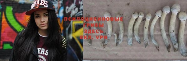 альфа пвп Горно-Алтайск