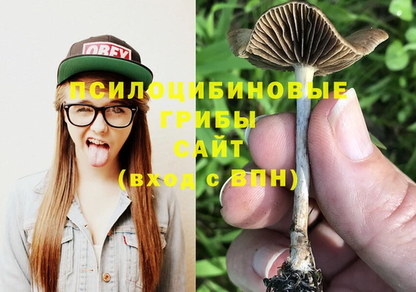 мяу мяу кристалл Гусь-Хрустальный