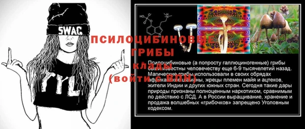 дмт Горняк
