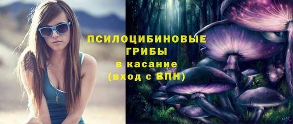 кристаллы Гусев