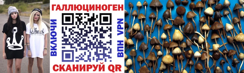 Галлюциногенные грибы MAGIC MUSHROOMS  блэк спрут зеркало  Могоча 