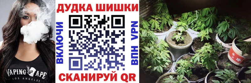Бошки марихуана THC 21%  где купить наркоту  Могоча 